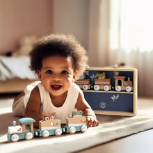 Load image into Gallery viewer, TRAIN DISPLAY CASE