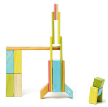 Load image into Gallery viewer, 24-PIECE TEGU BLOCKS