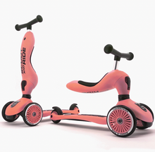 Load image into Gallery viewer, SCOOT & RIDE SCOOTER-multiple options