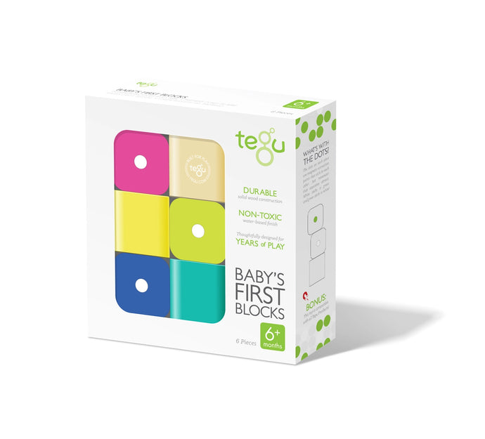BABY'S FIRST BLOCKS - 6 blocks