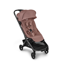Load image into Gallery viewer, BUGABOO BUTTERFLY 2