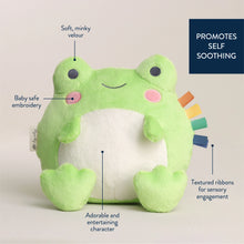 Load image into Gallery viewer, SWEETIE SNUGGLES FROG PLUSH