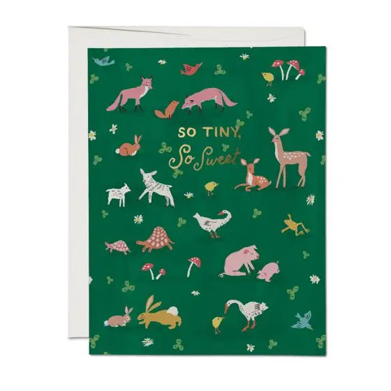 CARD - so tiny, so sweet