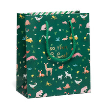 Load image into Gallery viewer, LARGE GIFT BAG - multiple options