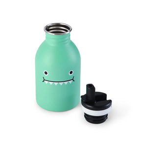 STAINLESS STEEL WATER BOTTLE - Ricedino Dinosaur - Green