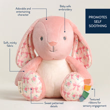 Load image into Gallery viewer, SWEETIE SNUGGLES PINK BUNNY PLUSH