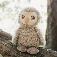Load image into Gallery viewer, BLINK OWL PLUSHY