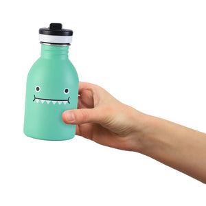 STAINLESS STEEL WATER BOTTLE - Ricedino Dinosaur - Green