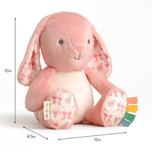 Load image into Gallery viewer, SWEETIE SNUGGLES PINK BUNNY PLUSH