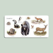 Load image into Gallery viewer, OUR BIG BOOK OF ANIMALS