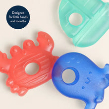 Load image into Gallery viewer, CUTIE COOLERS- nautical
