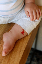 Load image into Gallery viewer, DINOSAUR TEMPORARY TATTOOS