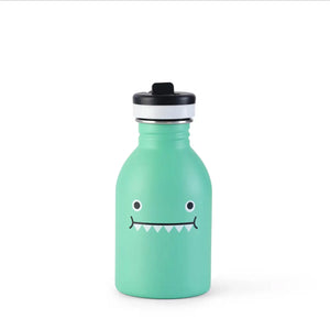 STAINLESS STEEL WATER BOTTLE - Ricedino Dinosaur - Green