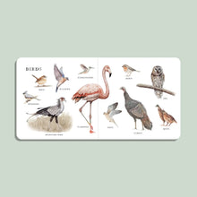 Load image into Gallery viewer, OUR BIG BOOK OF ANIMALS
