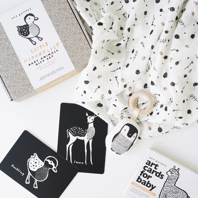 LITTLE NATURALIST GIFT SET - baby animals