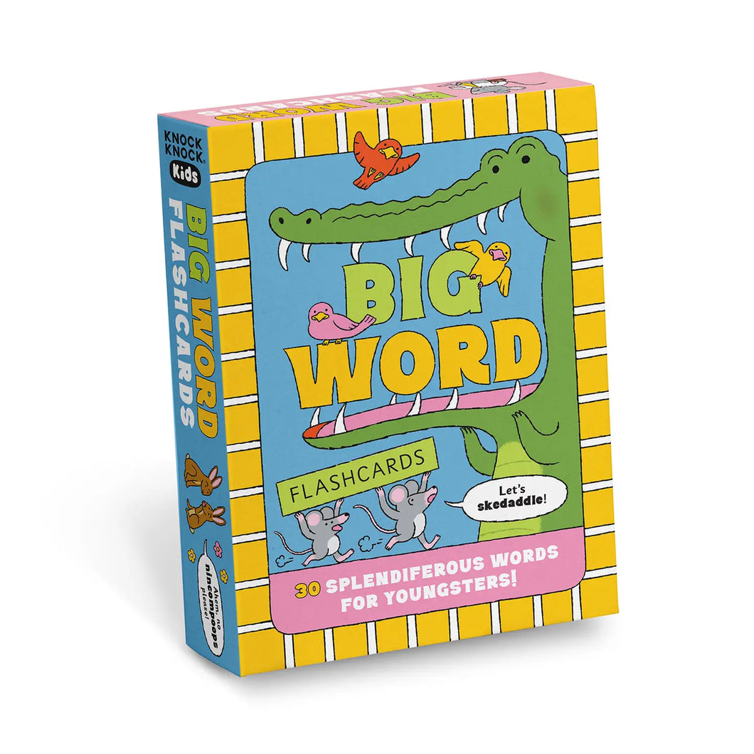 BIG WORD FLASHCARDS