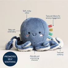 Load image into Gallery viewer, SWEETIE SNUGGLES OCTOPUS PLUSH
