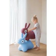Load image into Gallery viewer, BOUNCY BUNNY- multiple options