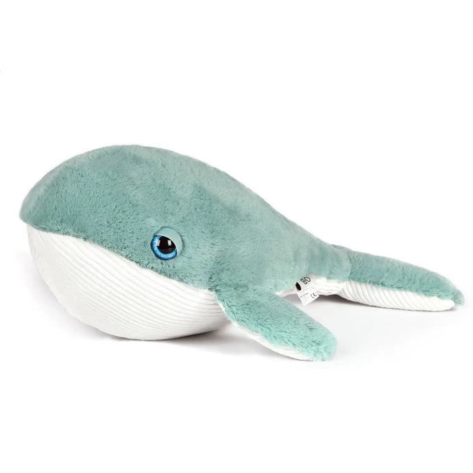 HURLEY WHALE