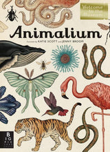 Load image into Gallery viewer, BIG BOOK - Animalium: Welcome to the Museum