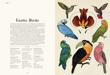 Load image into Gallery viewer, BIG BOOK - Animalium: Welcome to the Museum