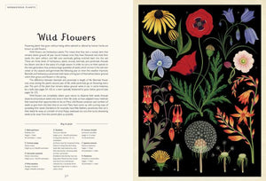 BIG BOOK - Botanicum: Welcome to the Museum