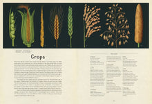 Load image into Gallery viewer, BIG BOOK - Botanicum: Welcome to the Museum