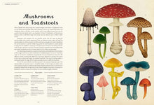 Load image into Gallery viewer, BIG BOOK - Fungarium: Welcome to the Museum