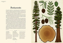 Load image into Gallery viewer, BIG BOOK - Arboretum: Welcome to the Museum