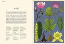 Load image into Gallery viewer, BIG BOOK - Arboretum: Welcome to the Museum