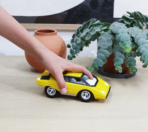 UFO CANARINA RACECAR