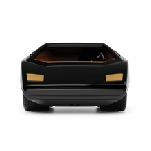 Load image into Gallery viewer, BLACK UFO CANARINA RACECAR