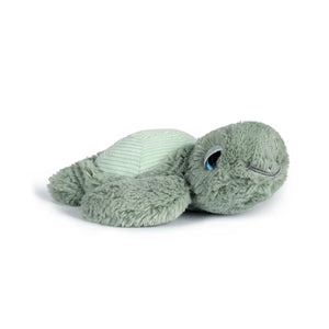 LITTLE TYLER TURTLE