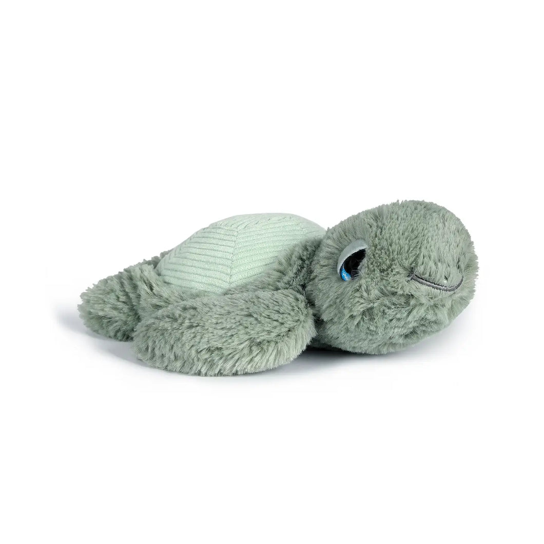 LITTLE TYLER TURTLE