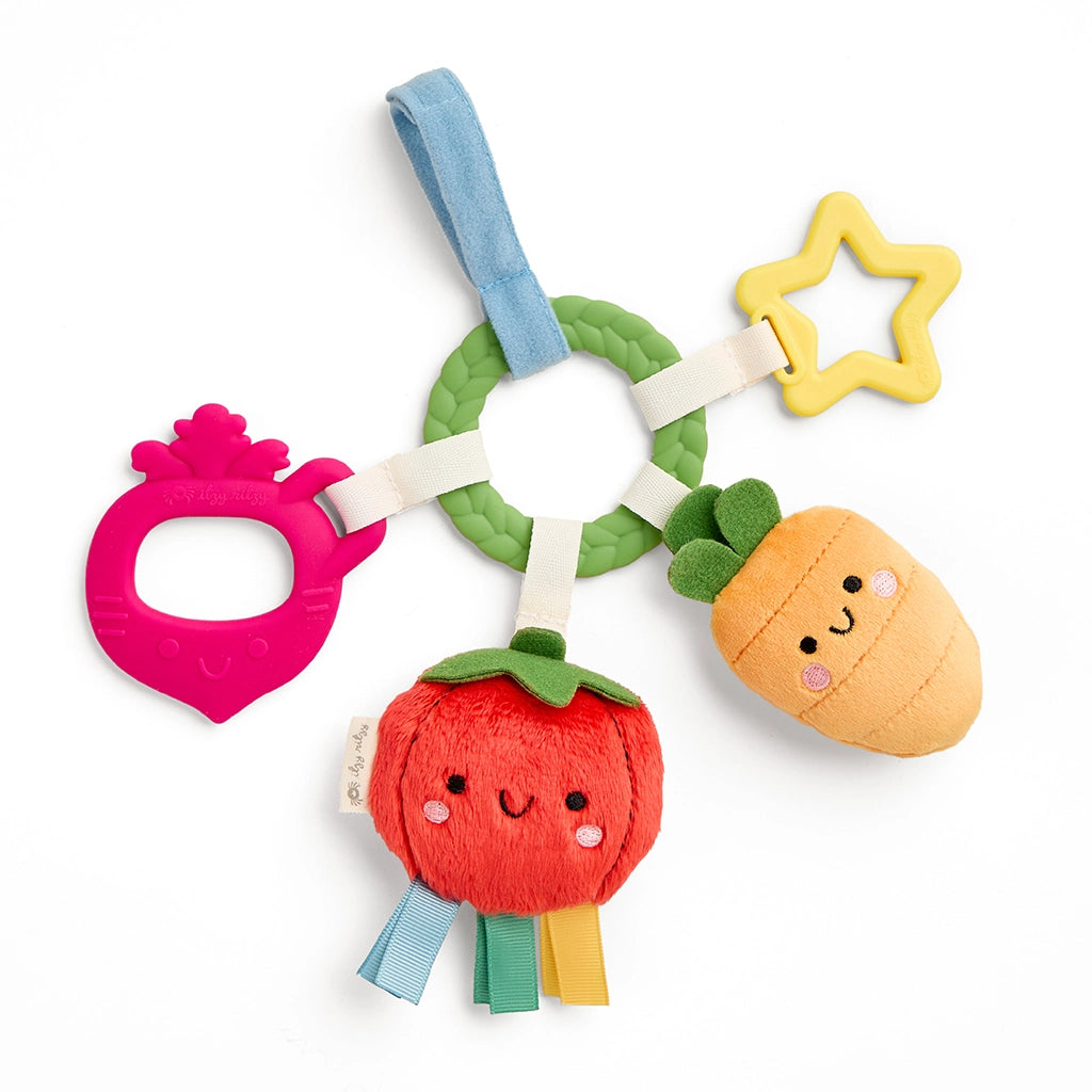 BITZY TEETHING RING - fruit