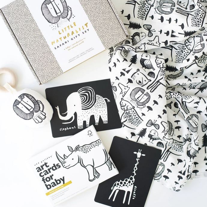 LITTLE NATURALIST GIFT SET - safari
