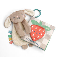 Load image into Gallery viewer, ITZY LEARN &amp; SNUGGLE GIFT SET