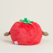 Load image into Gallery viewer, TOMATO WARMIES