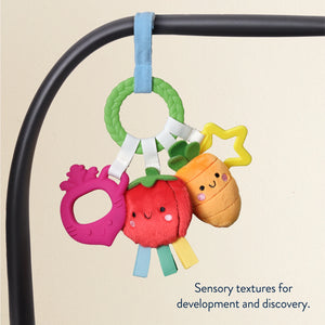 BITZY TEETHING RING - fruit
