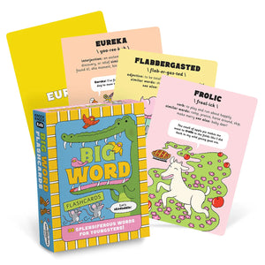 BIG WORD FLASHCARDS