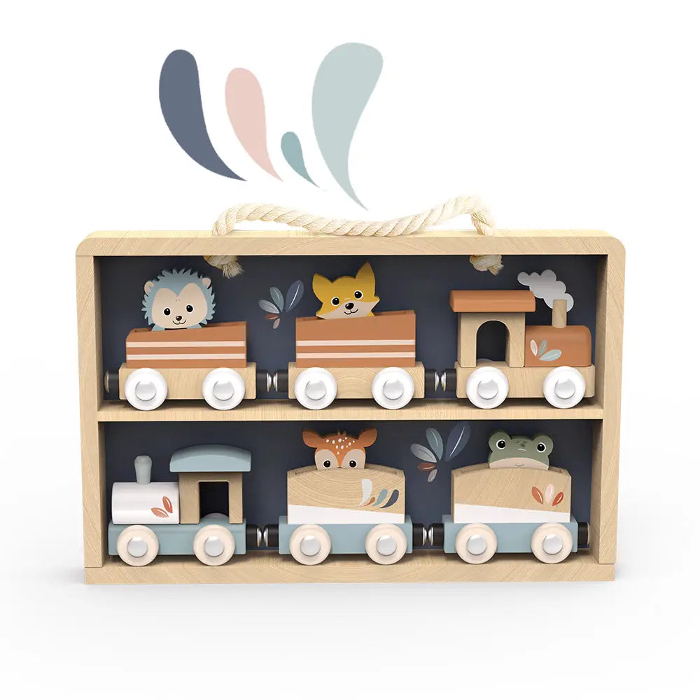 TRAIN DISPLAY CASE