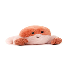 Load image into Gallery viewer, LITTLE KENZO CRAB