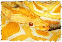 Load image into Gallery viewer, REPTILE SHOW 11AM-12PM
