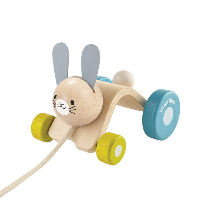 HOPPING RABBIT