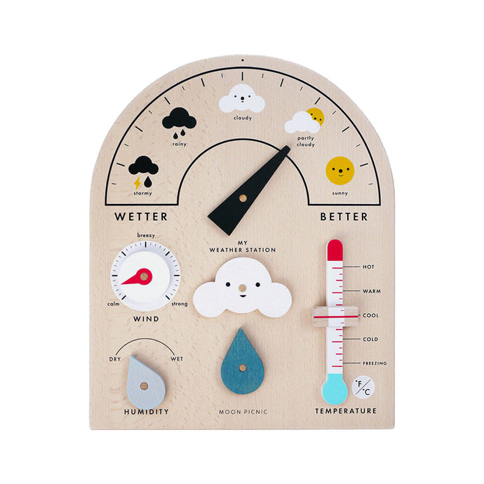 WEATHER STATION