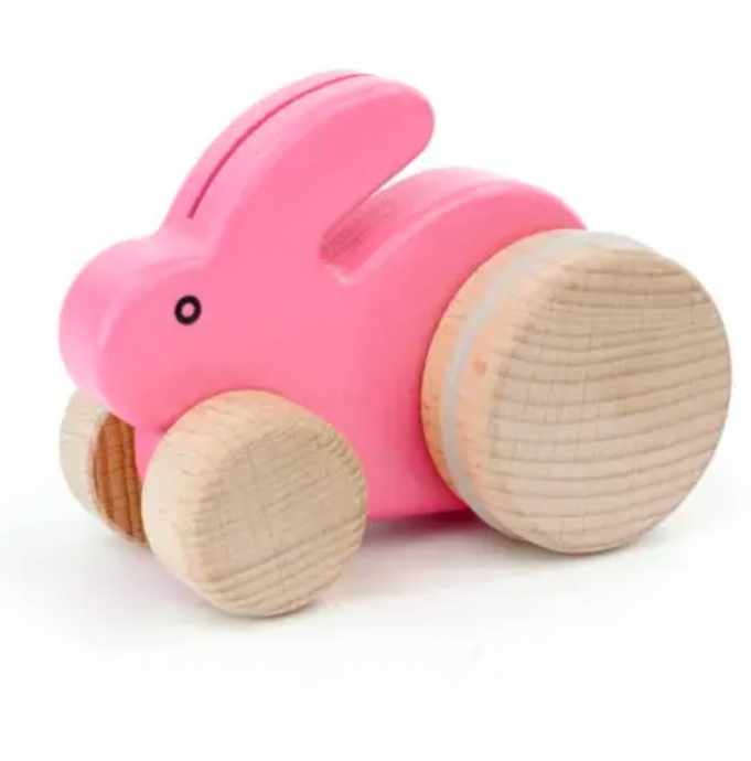 HOPPING LITTLE BUNNY