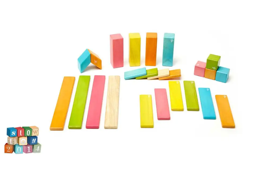 24-PIECE TEGU BLOCKS