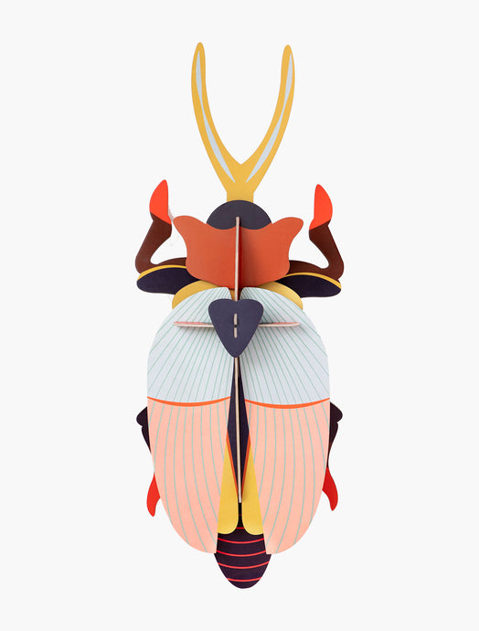 DELUXE RHINOCEROS BEETLE