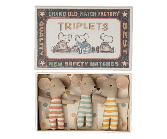BABY MOUSE TRIPLETS IN MATCHBOX
