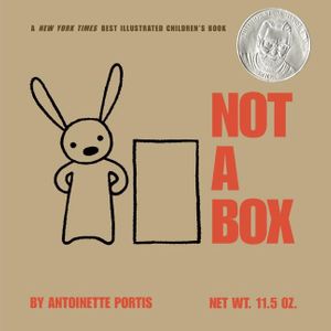 NOT A BOX - board book